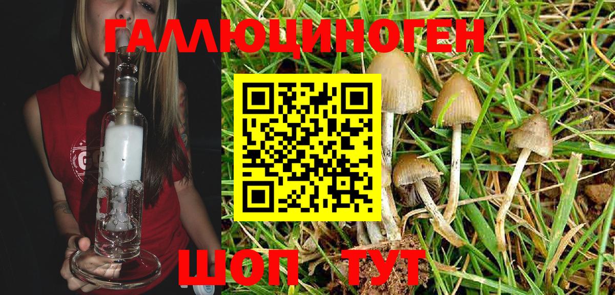 Псилоцибиновые грибы MAGIC MUSHROOMS  Псилоцибиновые грибы Psilocybine cubensis  купить наркоту  Вход с VPN  Мыски 